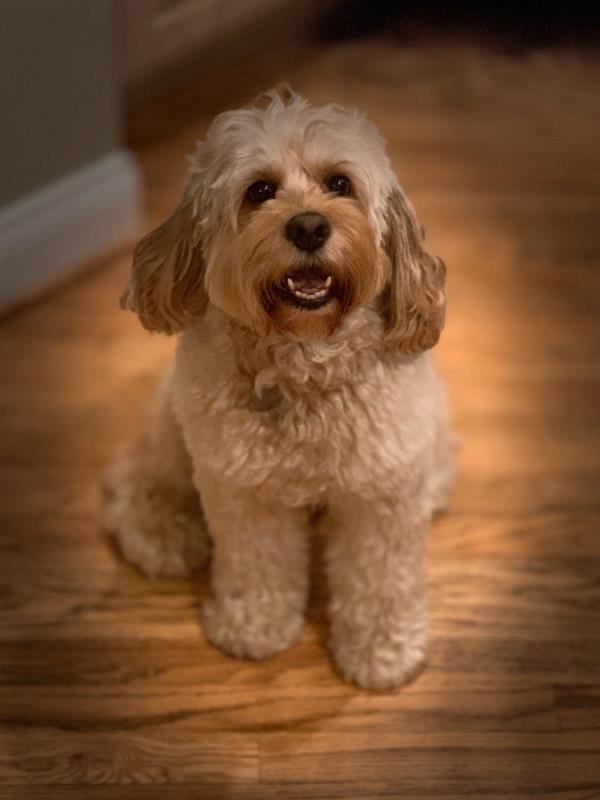 /Images/uploads/Congregation Beth Emeth/bethemeth/entries/17597thumb.jpg